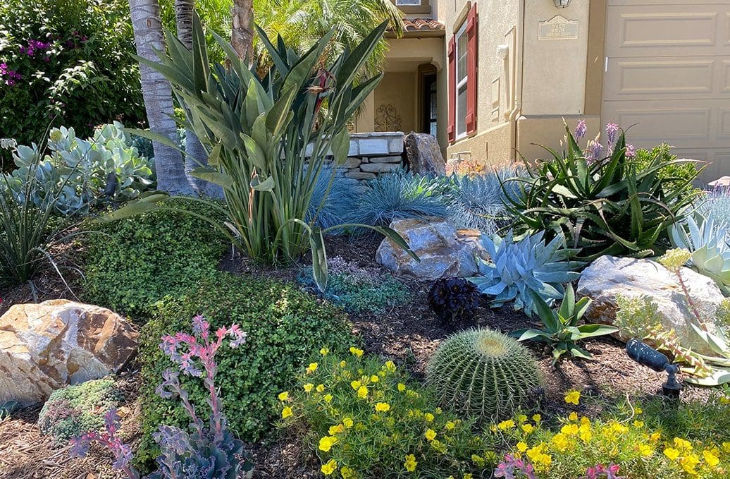 Picture of 12 Top Drought-Resistant Landscaping Designs